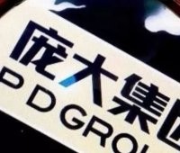 庞大毁于“庞大”中国4S店之王正在破产